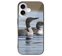 FodPand Loon Birds Phone Case for iPhone 16 Tempered Glass Hard Phone Protective Cover Anti-Scratch Shockproof Minimalist Aesthetic Case for Women & Men Black
