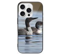 FodPand Loon Birds Phone Case for iPhone 16 Tempered Glass Hard Phone Protective Cover Anti-Scratch Shockproof Minimalist Aesthetic Case for Women & Men Black