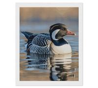 FodPand Loon Nature Birds Diamond Painting Kits for Adults Beginners 5D Round Drill Diamond Art Kits with DIY Tools Gem Art Crafts for Home Wall Decor Living Room Bedroom Office Decoration 16x20