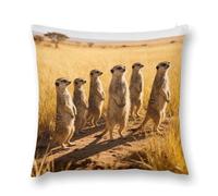 FodPand Meerkats on The Grassland Throw Pillow Covers 12 "x12 Decorative Plush Pillowcase with Hidden Zipper Double-Sided Boho Farmhouse Cushion Case for Sofa Bed Chair, Holiday Decor, Home Gift