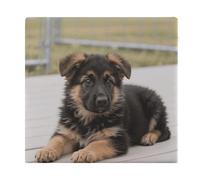 FodPand Memory Foam Seat Cushion for Chairs 13.8 X 15 Inches, Removable Cover Square Chair Pad with Zipper, German Shepherd Puppies Chair Cushion for Office, Car, Home & Outdoor