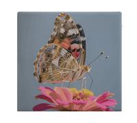 FodPand Memory Foam Seat Cushion for Chairs 13.8 X 15 Inches, Removable Cover Square Chair Pad with Zipper, Colorful Butterfly Chair Cushion for Office, Car, Home & Outdoor