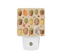 FodPand Night Light Plug Into Wall with Dusk to Dawn Sensor 0.5w Modern LED Autumn and Pine Cones Plug in Night Lamp Warm White Glow Nightlight for Bedroom Hallway Kitchen Bathroom Stairs Corridor
