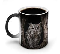 FodPand Owl at The Cave Entrance Color Changing Mugs Funny Heat Sensitive Ceramic Coffee Mugs Temperature Changing Mug Novelty Magic Cup Gift for Coffee Lover 11 Oz