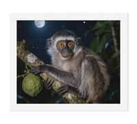 FodPand Paint by Numbers Kits for Adults Peruvian Night Monkey DIY Beginners Paint by Number Kits on Canvas Digital Oil Number Painting, Easy Canvas Art Print Kit for Home Decor Gift 40x50cm