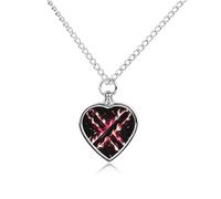 FodPand Personalized Pet Urn Necklace for Ashes Titanium Steel Cool Fire Cremation Jewelry with Funnel Kit Memorial Necklace Keepsake Gift Custom Photo Pendant for Dogs Cats Loved Ones