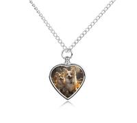 FodPand Personalized Pet Urn Necklace for Ashes Titanium Steel Two Corgis Cremation Jewelry with Funnel Kit Memorial Necklace Keepsake Gift Custom Photo Pendant for Dogs Cats Loved Ones