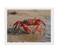 FodPand Red Crab Diamond Painting Kit for Adults 5D DIY Diamond Art with Sparkling Gems Round Drill Complete Set Paintings for Beginners Unique Wall Decor Gift 12"x16"