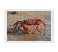 FodPand Red Crab Diamond Painting Kit for Adults 5D DIY Diamond Art with Sparkling Gems Round Drill Complete Set Paintings for Beginners Unique Wall Decor Gift 8"x12"