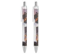 FodPand Rio Christ The Redeemer City Ballpoint Pens Fine Point Smooth Writing Pen Retractable Ball Point Pens 0.5mm Black Ink Pen Office Supplies Gifts for Men Women 2 PCS