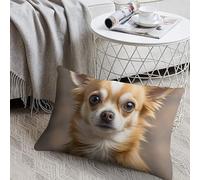 FodPand Short Plush Cute Chihuahua Throw Pillow Covers 8x12 Soft Decorative Lumbar Pillow Cases with Hidden Zipper Modern Cushion Covers for Couch Sofa Bedroom Living Room Car Decor