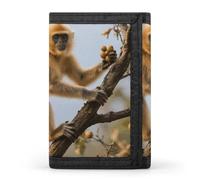 FodPand Tri-Fold Wallet with 8 Card Slots & Money Clip - Galaxy Spiral Nebula Slim Compact Wallet for Men & Women, Golden Snub-Nosed Monkey, One Size, Modern