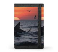 FodPand Tri-Fold Wallet with 8 Card Slots & Photo Window, Compact 3.3x5in Thin Wallet for Men & Women, Sneaking Shark Purse for Travel & Work