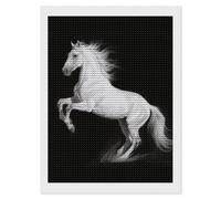 FodPand White Horse Black Diamond Painting Kits for Adults Beginner 5D Round Drill Full Diamonds Pictures Gem Art Kits Crafts Gift DIY Diamond Art Kits for Home Wall Decor 12"x16"