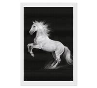 FodPand White Horse Black Diamond Painting Kits for Adults Beginner 5D Round Drill Full Diamonds Pictures Gem Art Kits Crafts Gift DIY Diamond Art Kits for Home Wall Decor 8"x12"