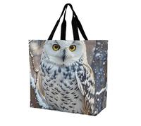 FodPand Winter White Owl Reusable Grocery Bag with Pockets And Handle Lightweight Durable Shopping Bags Large Size Bag for Groceries Travel And Everyday Use 15.7x15.7x6.3 in
