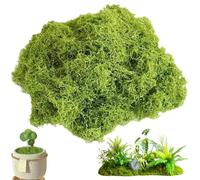 FOEEORT 100g Fake Moss, artificial moss, for Indoor Plant Pots Decorative Moss for Home Garden Terrariums and Craft Projects Perfect for Floral Arrangements and DIY Decorations(Light Green)