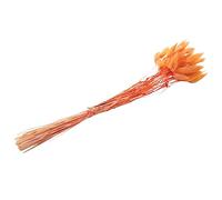 Foemey 60Pcs Fall Dried Flowers Bunny Dried Flowers Lagurus Ovatus Rabbit Tail Grass for Dried Floral(Orange)