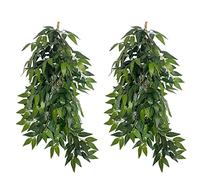 Fofetbfo 2 Pieces Artificial Hanging Plants 82 cm Fake Eucalyptus Leaves Plants Faux Hanging Eucalyptus Leaves Vine for Front Door Wall Home Indoor Outdoor Decor