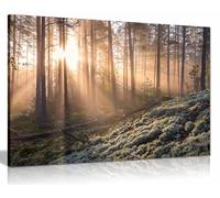 Fog in the forest with white moss in the forground Canvas Print, Framed Wall Art Pictures for Home Decor 76x51cm (30x20in)