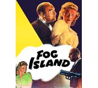 Fog Island