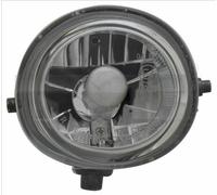 TYC 19-6089-11-9 Fog Light