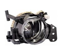 Fog Light Headlamp Front Fog Light - Right Hand Side HELLA 1N0 354 991-021