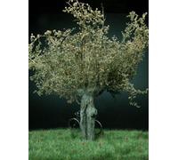 Fog Models 1/35 Scale Tree with Branches