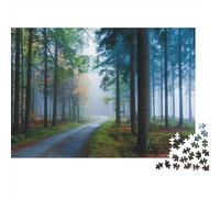 Foggy Forest Road 1000 Piece Puzzles Beautiful View Forest Road Home Decoration Educational Game for Men And Women Challenging Jigsaw Jigsaw Puzzles for Adults 52x38cm/1000pcs