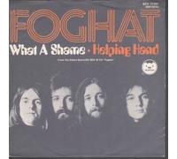 FOGHAT - WHAT A SHAME 7 INCH (7" VINYL 45) GERMAN BEARSVILLE 1973