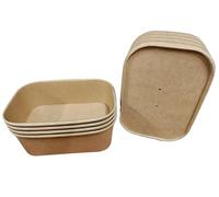 Foglish Home & Garden Kraft Paper Food Containers, Brown, 750ml Rectangular, Stackable, Disposable with Lids, 17.3x12.3x6cm, Restaurant and Takeaway Use (10)