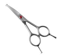 FOGOSP 4.5" Curved Dog Scissors for Grooming Face and Paws with Safety Round Tip for Small Dogs Face Paw Ears Trimmer Professional Small Cat Grooming Shears (4.5" Curved, Gray)