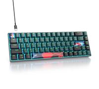 Fogruaden 60% Mechanical Gaming Keyboard, 68 Keys, Single Backlit, Compact 60 Percent Wired Keyboard for Win/Mac PC Gamer, Easy to Carry on Trip (68Dan-RedSwitch-Sound)