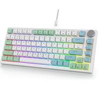 Fogruaden Wired Hot Swappable 75% Percent Mechanical Keyboard, Red Switch, TKL Mechanical Keyboard, Gasket Mount, RGB Backlit Compact Gaming Keyboard with Volume Knob(Mint)