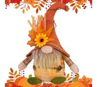 Fogukier Autumn Plush Gnome - Thanksgiving Gnome Plush with LED Light,Seasonal Autumn Figure Desktop Ornaments for Bookshelf Garden Table Shelves Mantel Patio Nights