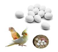 FOIBURELY 12 Pcs Solid Parrot Dummy Eggs Hatching Eggs Green Cheek, Lorikeet&Ringneck Dove, Quaker, Cockatiel. Trick The Birds to Stop Laying Eggs, Dummy Eggs