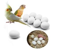 FOIBURELY 8 Pcs Solid Parrot Dummy Eggs Hatching Eggs Green Cheek, Lorikeet&Ringneck Dove, Quaker, Cockatiel. Trick The Birds to Stop Laying Eggs, Dummy Eggs