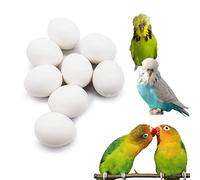 FOIBURELY 8 Pcs Solid Parrot Dummy Eggs Hatching Eggs Lovebird, Bourkes, Lineoleated, Eng Budgie. Trick The Birds to Stop Laying Eggs, Dummy Eggs（22mm18mm）