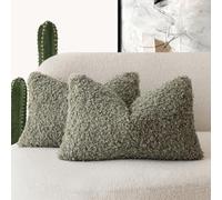 Foindtower Curly Teddy Wool Pillow Covers Decorative Boucle Textured Lumbar Pillow Cases Faux Fur Pillow Covers Sheepskin Sofa Bedroom Car Set of 2, Sage Green