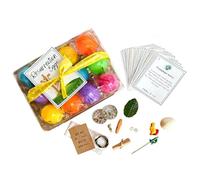 Fokayo Resurrection Eggs Set with Story Cards, Easter Week Story, 12 Colorful Easter Eggs with Bible Symbols & Scripture Cards, Faith-Based Storytelling Props for Holy Week (1Pcs)