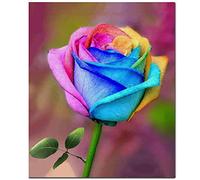 Fokenzary DIY Paint by Numbers Oil Painting Canvas for Kids or Adults Beginner with Brushes and Acrylic Paints Frameless(40x50cm Rose)