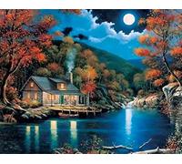 Fokenzary Paint by Numbers Kit for Adults DIY Canvas Art Unframed 40x50cm