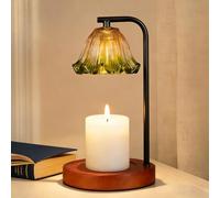 FOLAI Candle Warmer Lamp with Timer: Electric Wax Melter - Adjustable Brightness Jar Candles Flameless Burner Suitable Various Holiday Warming Gifts with 2 Bulbs（Retro flowers）