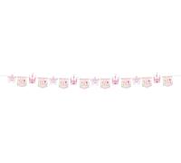 Folat 27489 Princess Birthday Decoration Pink - Bunting - Pretty Princess - 6 Metres - Princess Party