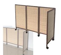 Foldable Cact Room Divider - 4-Panel Woven Fiber Partition Wall for Home, Office, Garden, Patio - Stylish Privacy Screen, Space Saver, 80x40cm