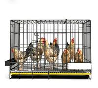 Foldable Chicken Coop with No Assembly and Auto-Roll Rustproof for Indoor