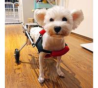 Foldable Dog Wheelchair for Disabled Pets Rear Support Mobility Aid Easy Assembly Dog Stroller with Medium Size Wheels for Enhanced Stability and Comfort
