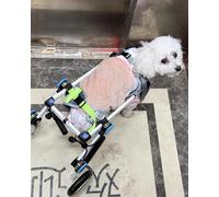 Foldable Dog Wheelchair for Small/Medium/Large Dogs - Adjustable Support for Hind Legs & Knee Brace for Cats - Rolling Rehabilitation Aid (Size S)