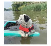 Foldable Inflatable Dog Pool Ramp, High Buoyancy Safety Floating Dock for Small to Large Dogs