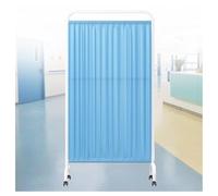 Foldable Medical Privacy Screen, Vertical Door Partition For Patient Rooms, Beauty Salons, And Health Care Rooms, Folding Iron Frame Saves Space(Color-2,2-panel)